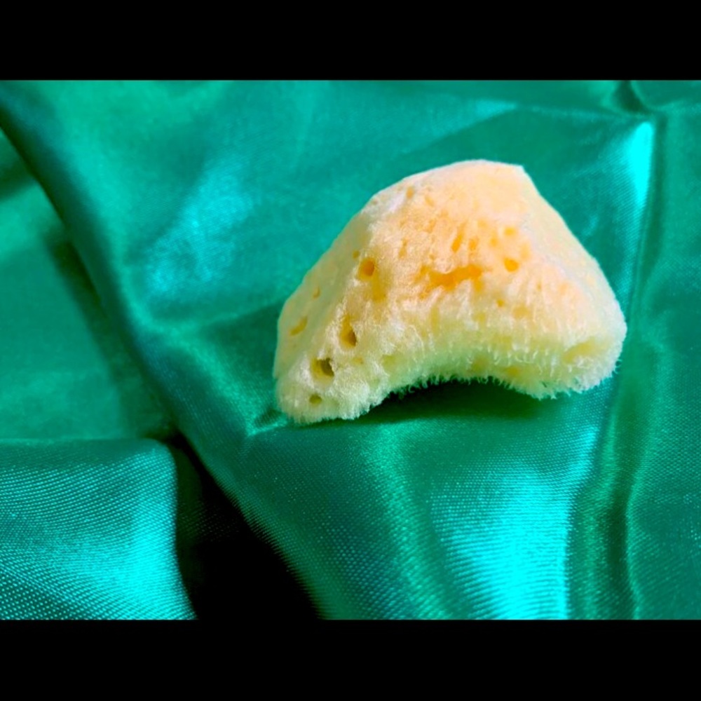 Silk Cleansing Sponge